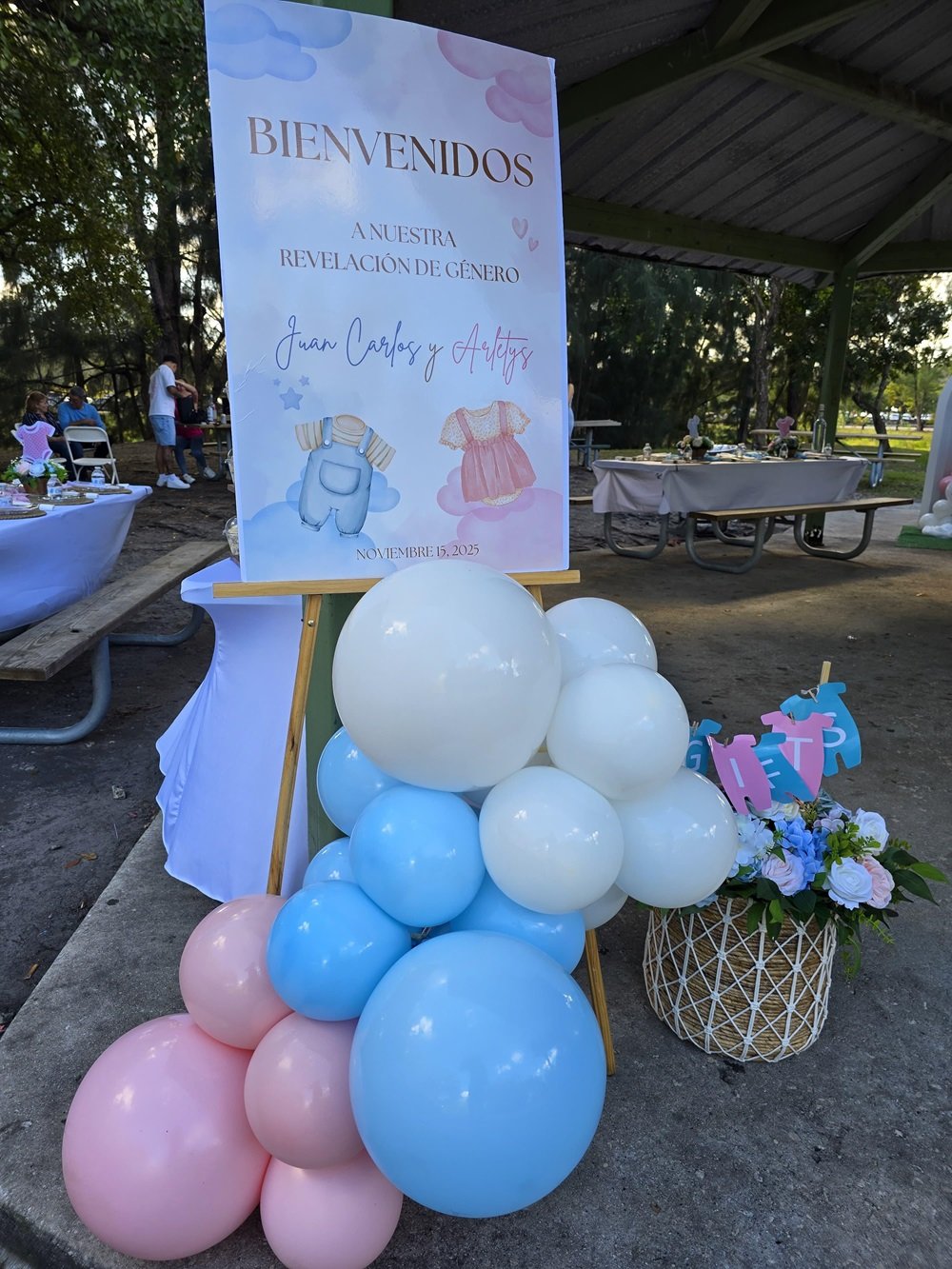 Revelación de Género